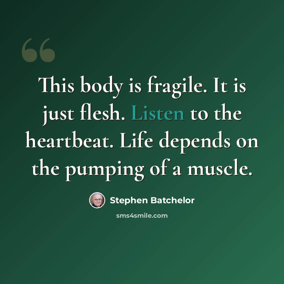 “This body is fragile. It is just flesh. Listen to the heartbeat. Life depends on the pumping of a muscle.” quote by Stephen Batchelor