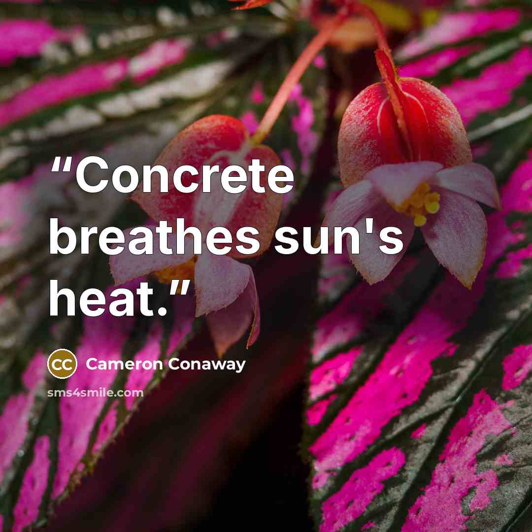 “Concrete breathes sun's heat.” quote by Cameron Conaway