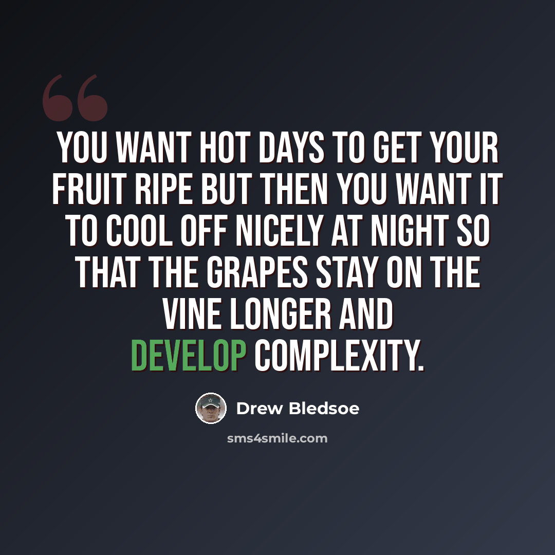 “You want hot days to get your fruit ripe but then you want it to cool off nicely at night so that the grapes stay on the vine longer and develop complexity.” quote by Drew Bledsoe