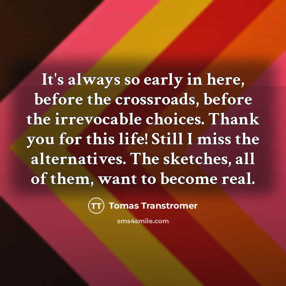 “It's always so early in here, before the crossroads, before the irrevocable choices. Thank you for this life! Still I miss the alternatives. The sketches, all of them, want to become real.” quote by Tomas Transtromer