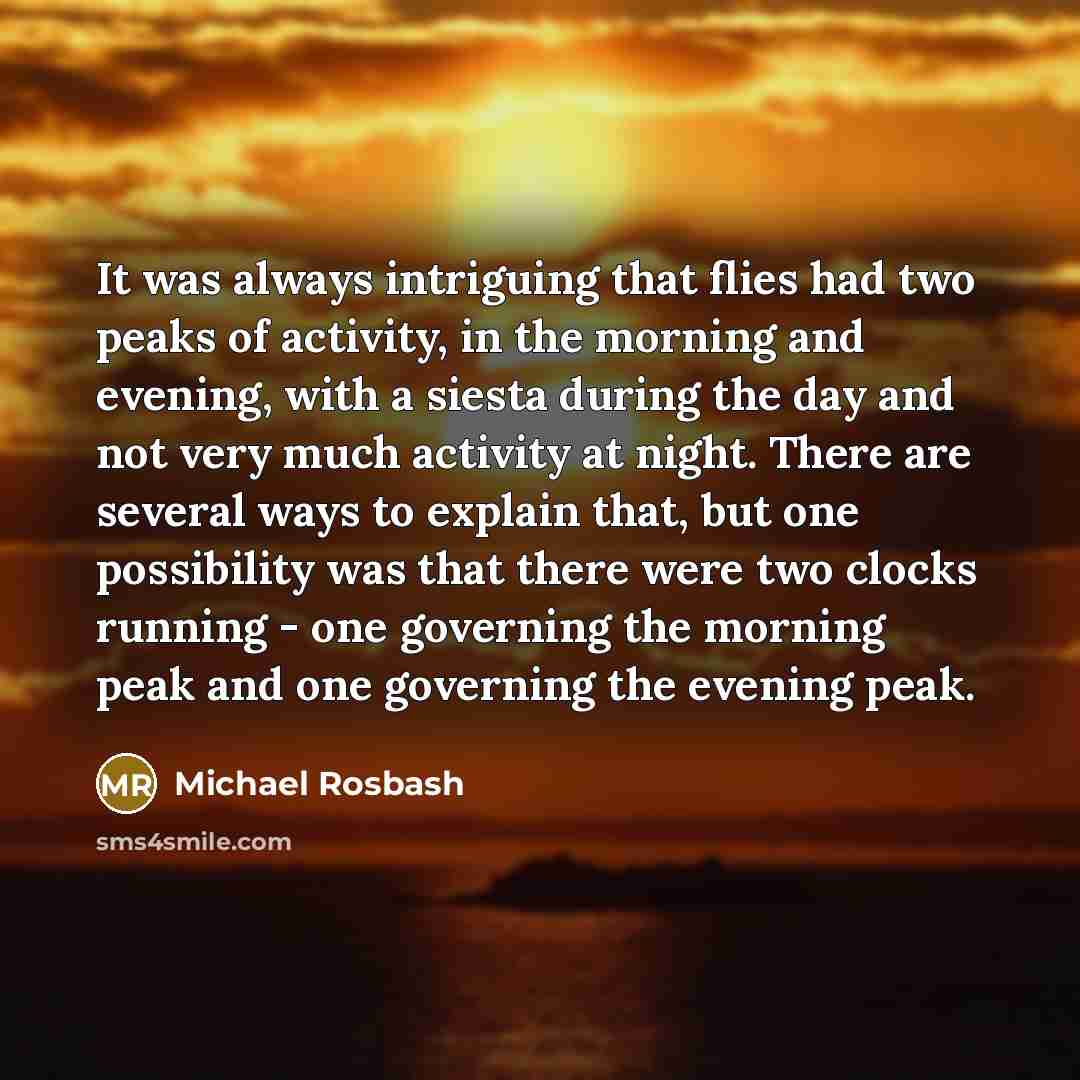 “It was always intriguing that flies had two peaks of activity, in the morning and evening, with a siesta during the day and not very much activity at night. There are several ways to explain that, but one possibility was that there were two clocks running - one governing the morning peak and one…” quote by Michael Rosbash