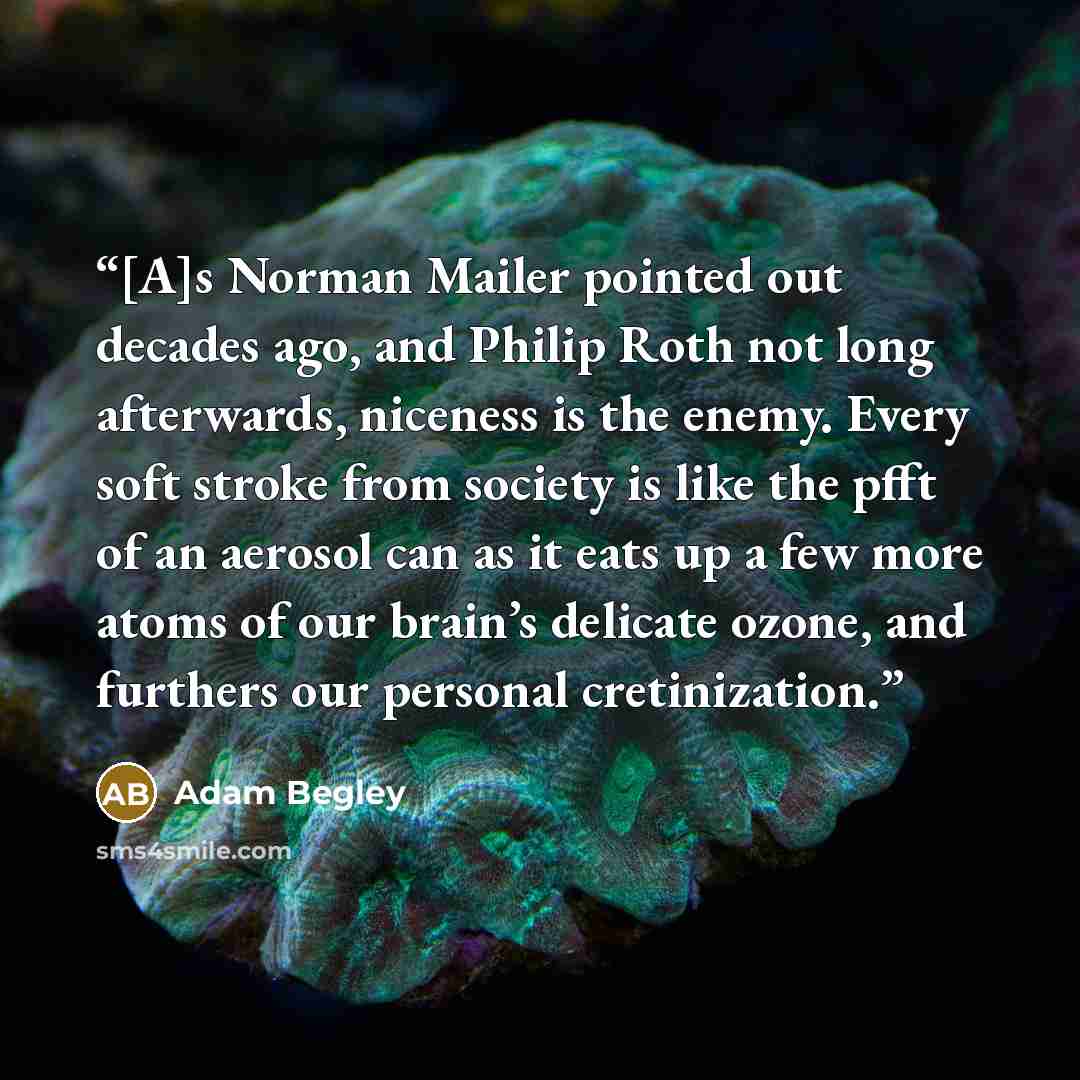 “[A]s Norman Mailer pointed out decades ago, and Philip Roth not long afterwards, niceness is the enemy. Every soft stroke from society is like the pfft of an aerosol can as it eats up a few more atoms of our brain’s delicate ozone, and furthers our personal cretinization.” quote by Adam Begley
