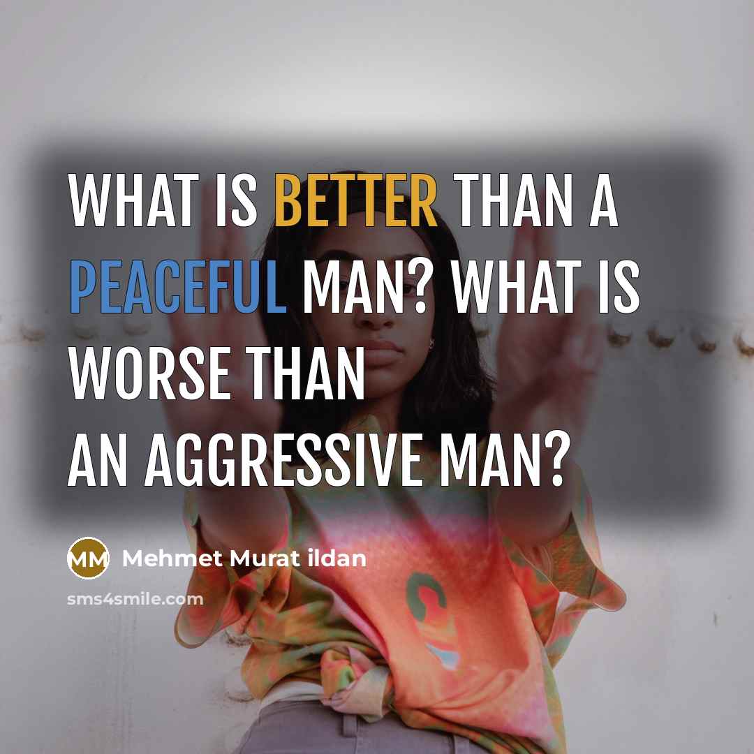 “What is better than a peaceful man? What is worse than an aggressive man?” quote by Mehmet Murat Ildan
