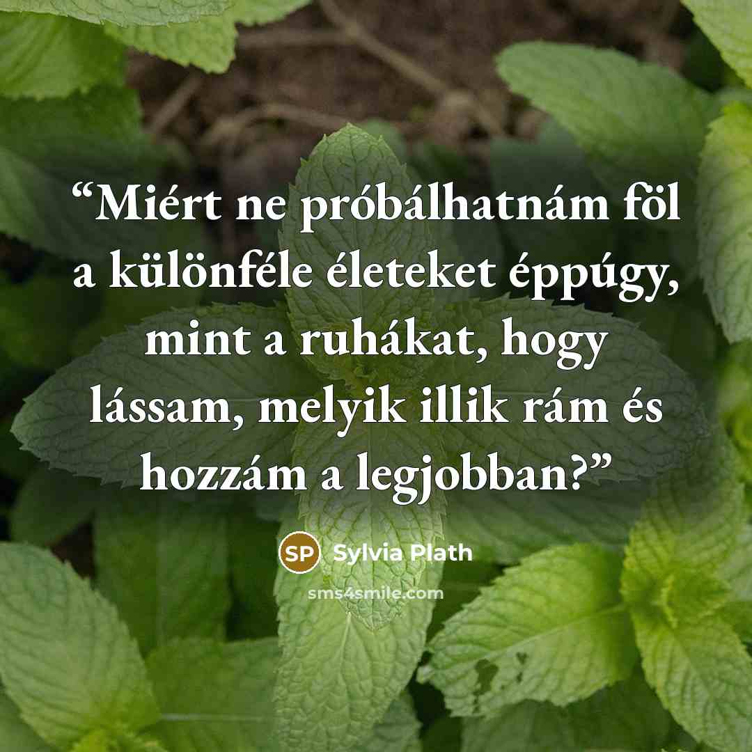 “Miért ne próbálhatnám föl a különféle életeket éppúgy, mint a ruhákat, hogy lássam, melyik illik rám és hozzám a legjobban?” quote by Sylvia Plath