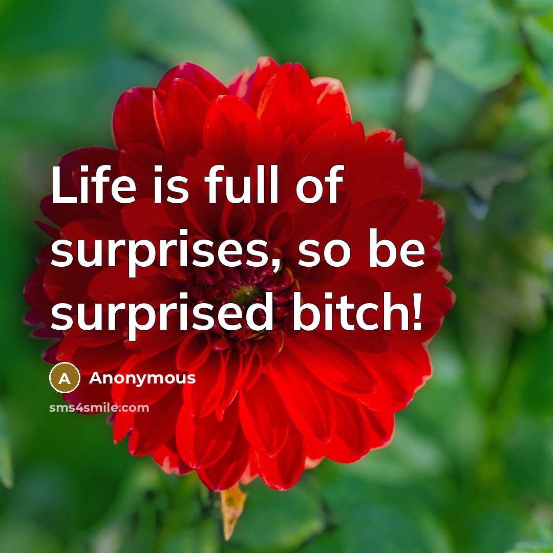 “Life is full of surprises, so be surprised bitch!” quote by Anonymous