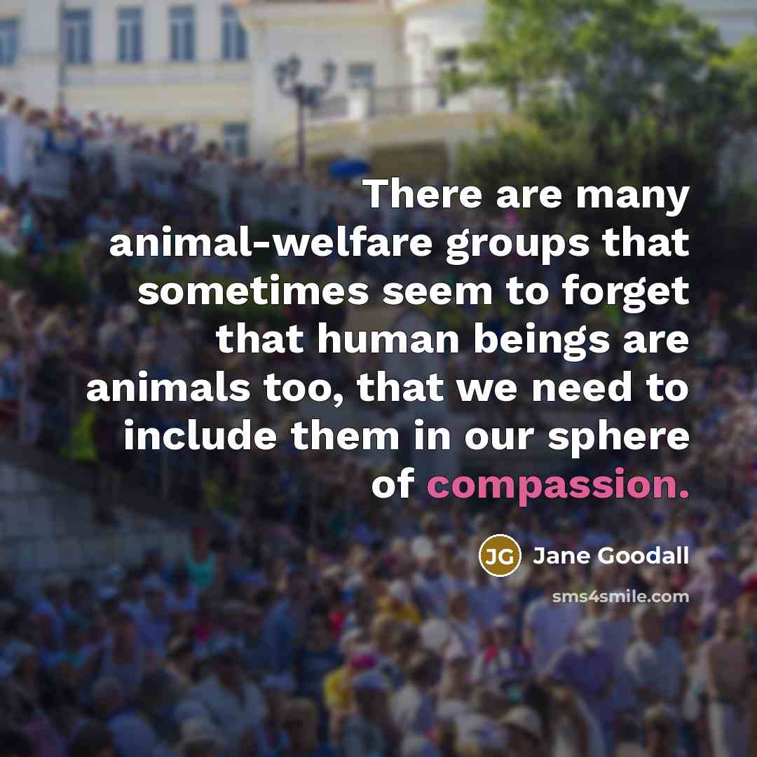 “There are many animal-welfare groups that sometimes seem to forget that human beings are animals too, that we need to include them in our sphere of compassion.” quote by Jane Goodall
