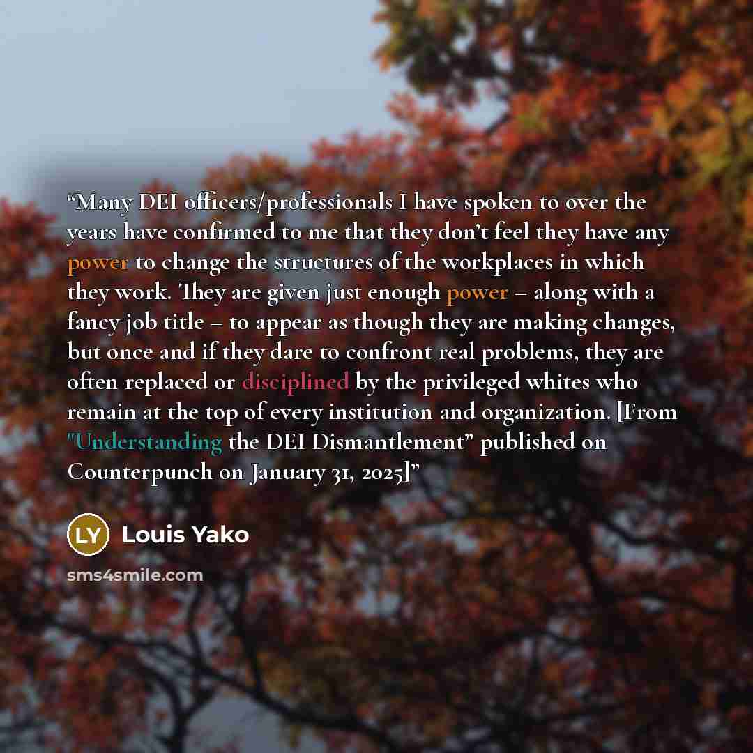 “Many DEI officers/professionals I have spoken to over the years have confirmed to me that they don’t feel they have any power to change the structures of the workplaces in which they work. They are given just enough power – along with a fancy job title – to appear as though they are making…” quote by Louis Yako