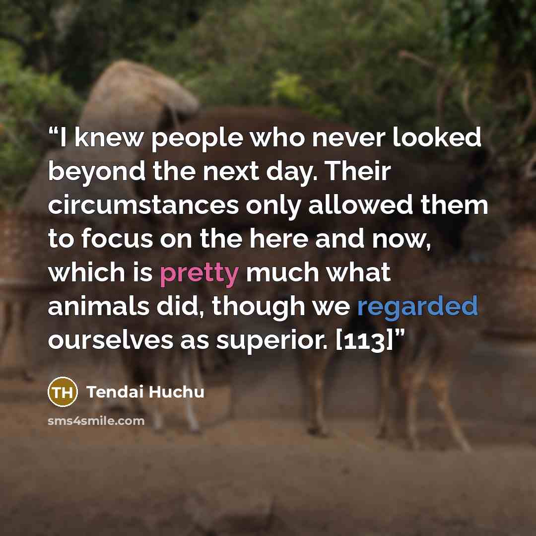 “I knew people who never looked beyond the next day. Their circumstances only allowed them to focus on the here and now, which is pretty much what animals did, though we regarded ourselves as superior. [113]” quote by Tendai Huchu