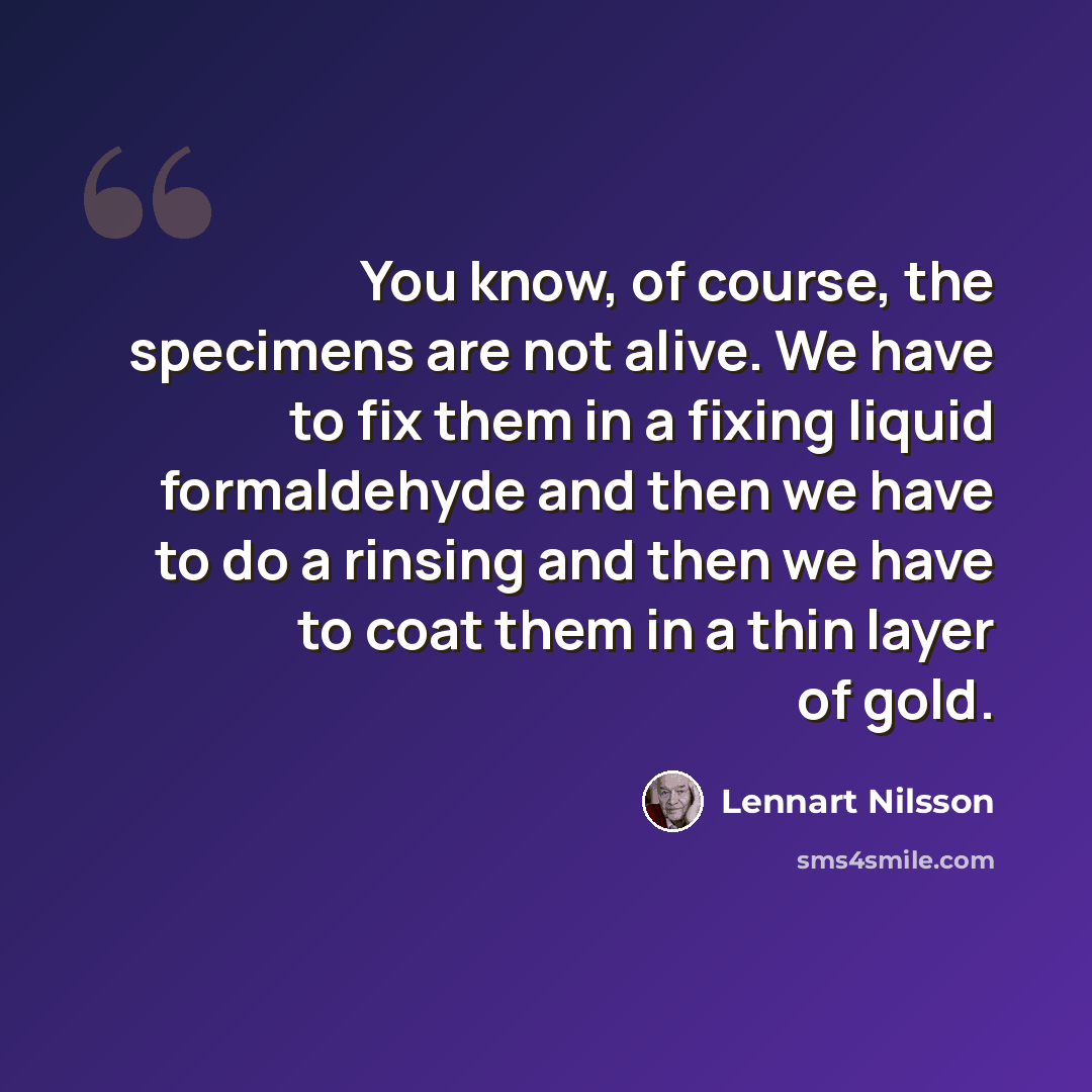 “You know, of course, the specimens are not alive. We have to fix them in a fixing liquid formaldehyde and then we have to do a rinsing and then we have to coat them in a thin layer of gold.” quote by Lennart Nilsson