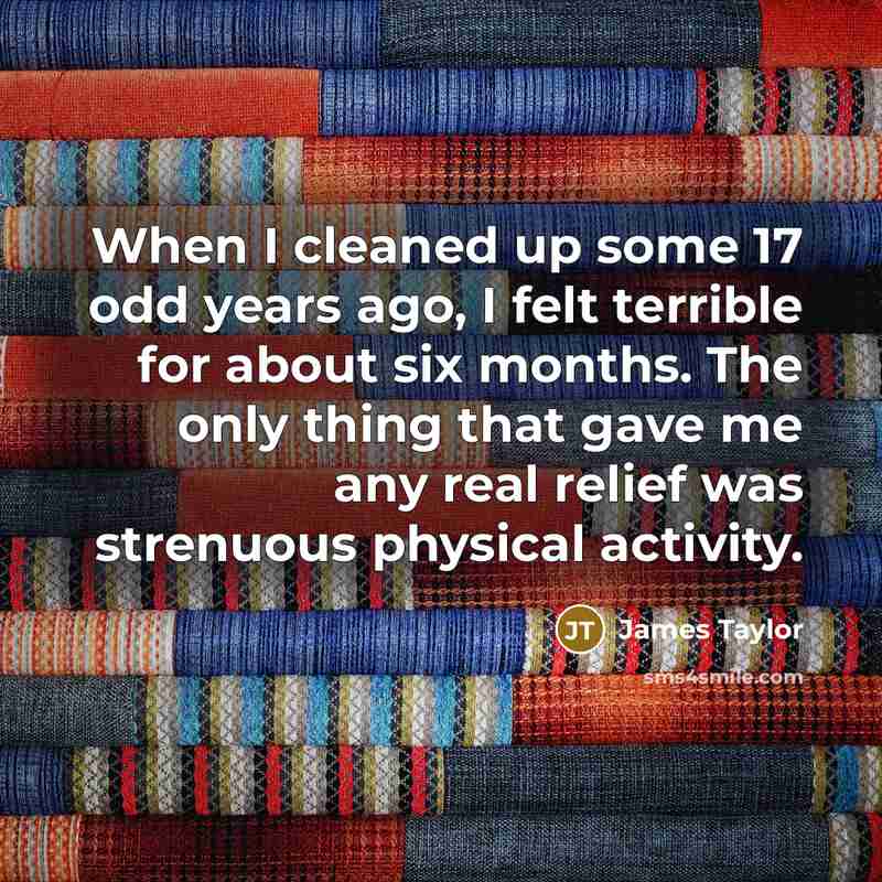 “When I cleaned up some 17 odd years ago, I felt terrible for about six months. The only thing that gave me any real relief was strenuous physical activity.” quote by James Taylor