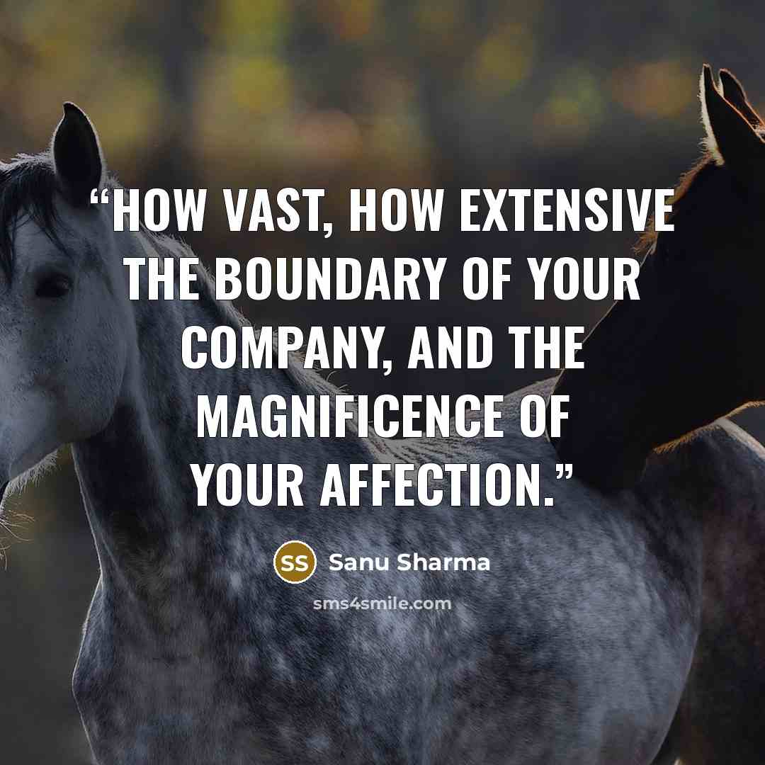“How vast, how extensive the boundary of your company, and the magnificence of your affection.” quote by Sanu Sharma