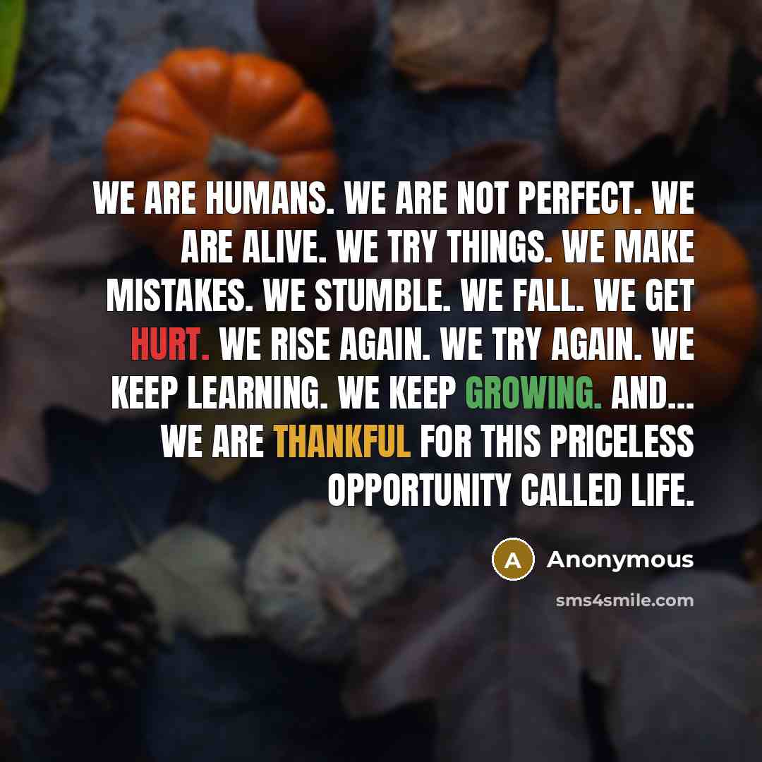 “WE ARE HUMANS. WE ARE NOT PERFECT. WE ARE ALIVE. WE TRY THINGS. WE MAKE MISTAKES. WE STUMBLE. WE FALL. WE GET HURT. WE RISE AGAIN. WE TRY AGAIN. WE KEEP LEARNING. WE KEEP GROWING. AND… WE ARE THANKFUL FOR THIS PRICELESS OPPORTUNITY CALLED LIFE.” quote by Anonymous