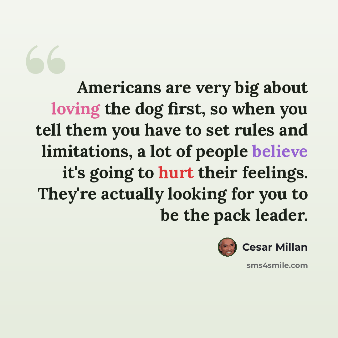 “Americans are very big about loving the dog first, so when you tell them you have to set rules and limitations, a lot of people believe it's going to hurt their feelings. They're actually looking for you to be the pack leader.” quote by Cesar Millan