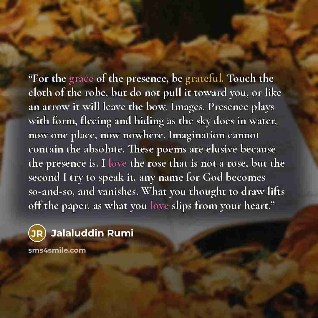 “For the grace of the presence, be grateful. Touch the cloth of the robe, but do not pull it toward you, or like an arrow it will leave the bow. Images. Presence plays with form, fleeing and hiding as the sky does in water, now one place, now nowhere. Imagination cannot contain the absolute. These…” quote by Jalaluddin Rumi