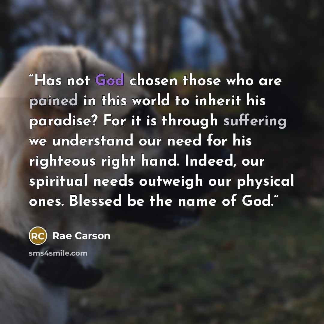 “Has not God chosen those who are pained in this world to inherit his paradise? For it is through suffering we understand our need for his righteous right hand. Indeed, our spiritual needs outweigh our physical ones. Blessed be the name of God.” quote by Rae Carson