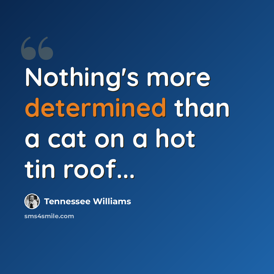 “Nothing's more determined than a cat on a hot tin roof...” quote by Tennessee Williams