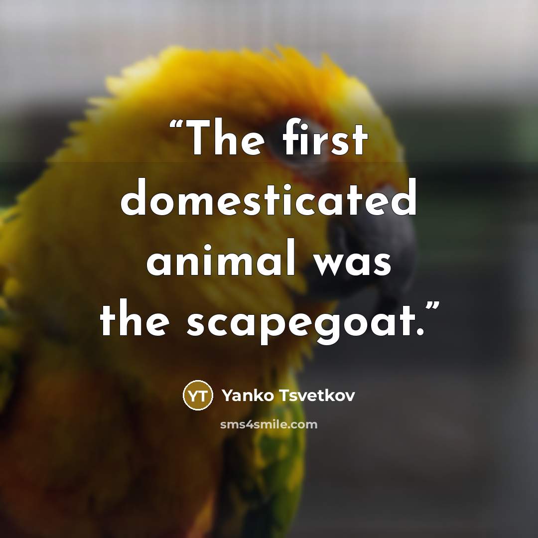 “The first domesticated animal was the scapegoat.” quote by Yanko Tsvetkov