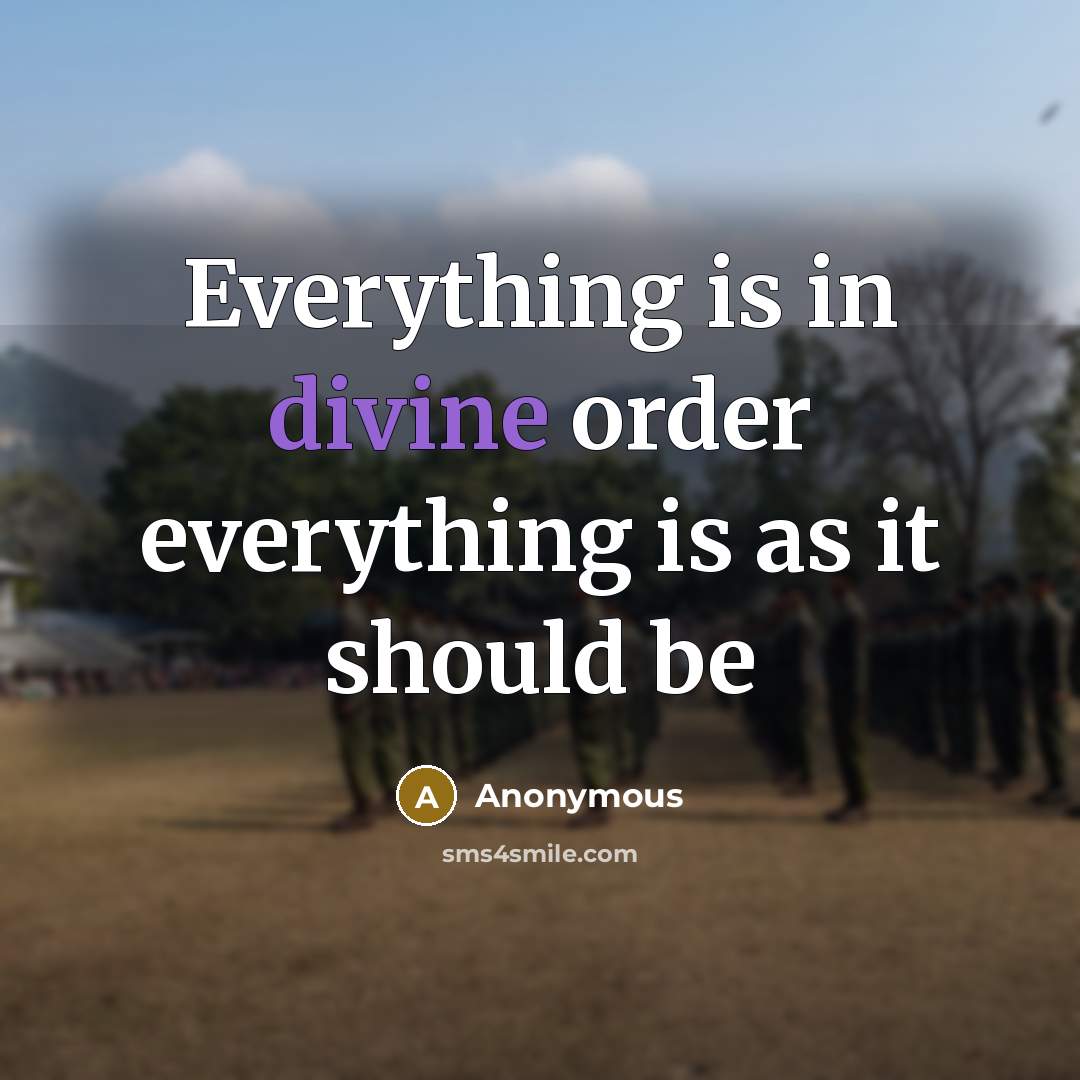“Everything is in divine order everything is as it should be” quote by Anonymous