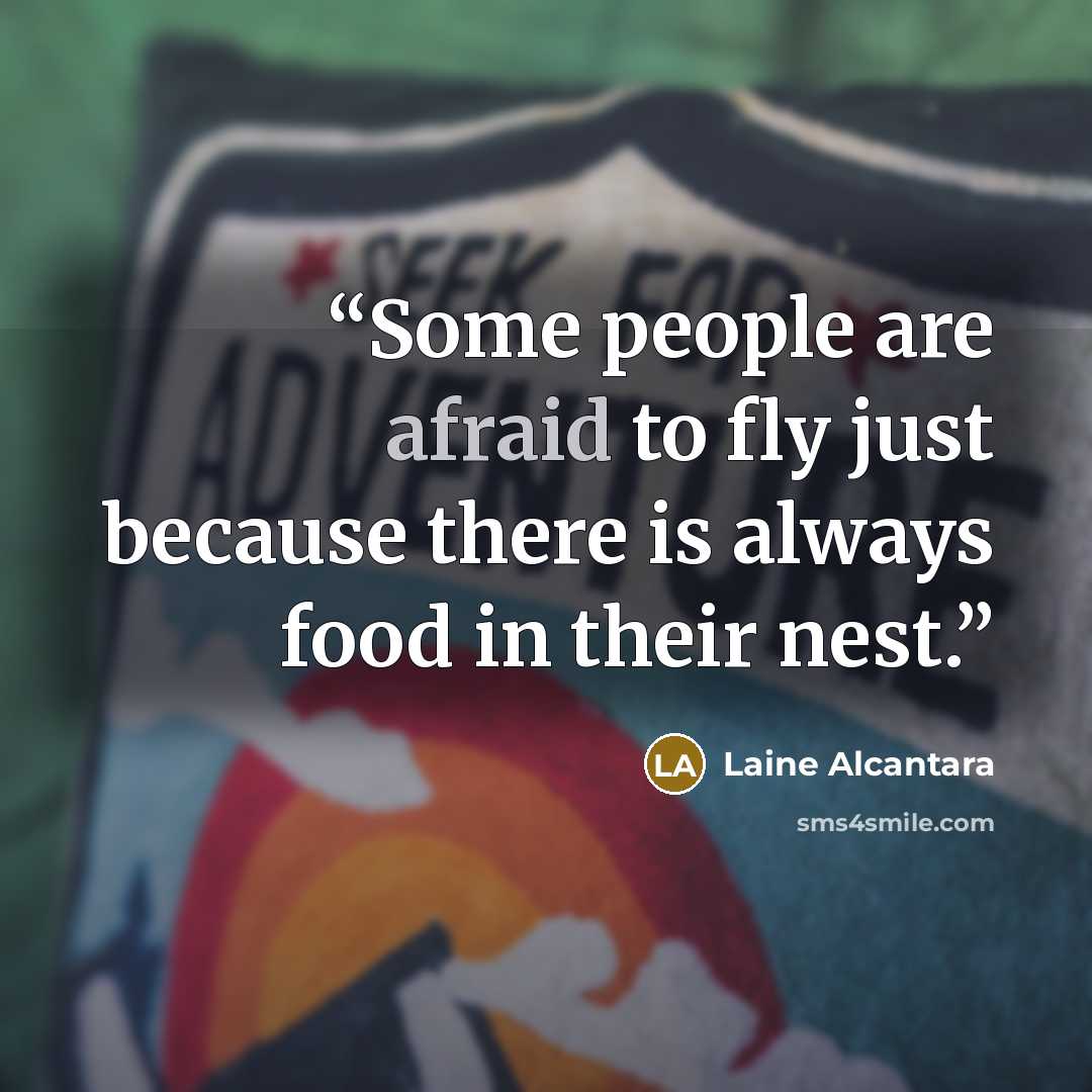 “Some people are afraid to fly just because there is always food in their nest.” quote by Laine Alcantara