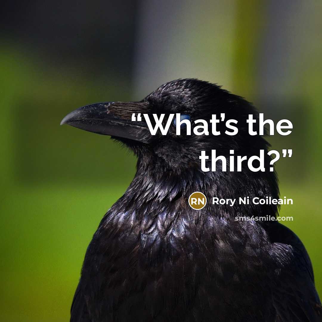 “What’s the third?” quote by Rory Ni Coileain