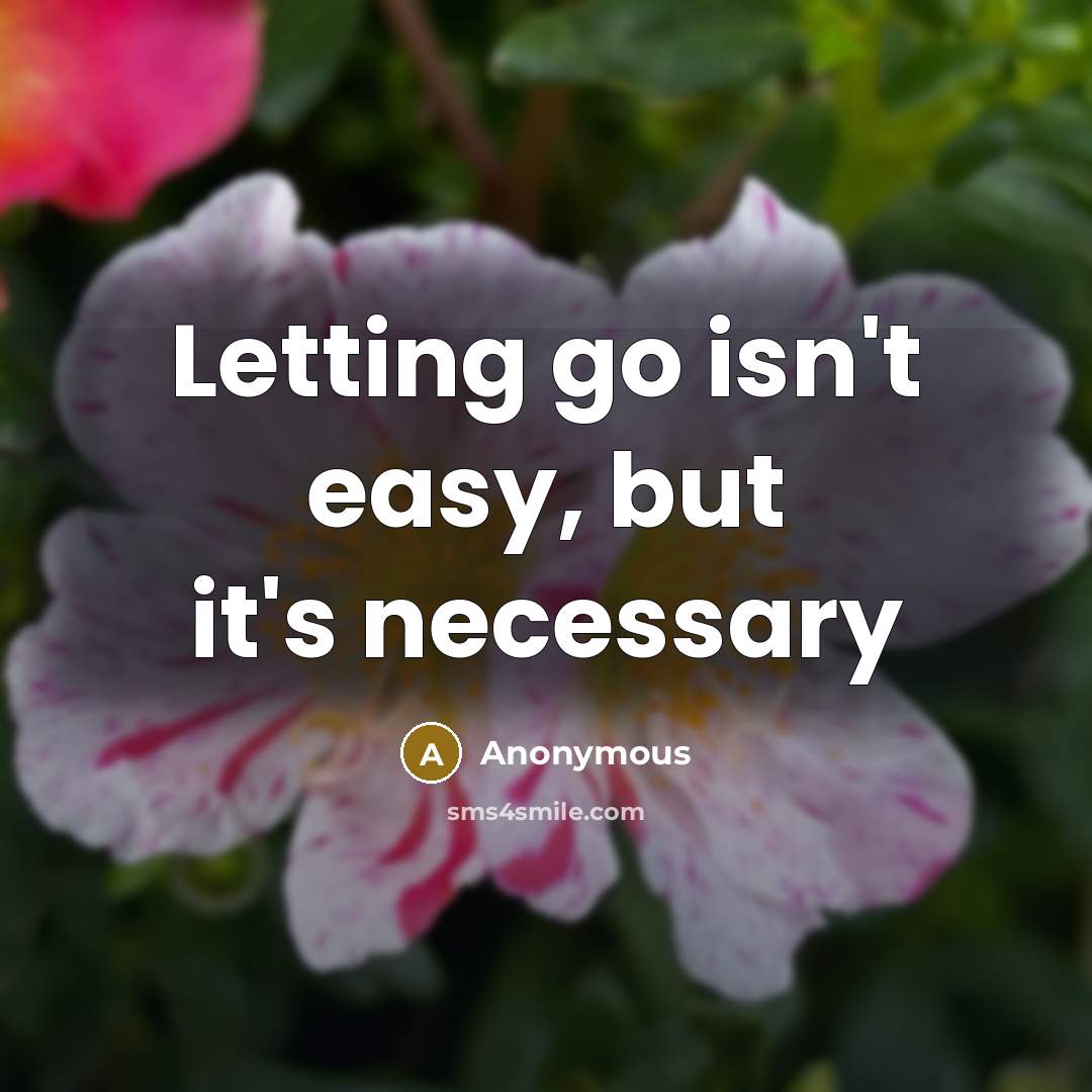 “Letting go isn't easy, but it's necessary” quote by Anonymous