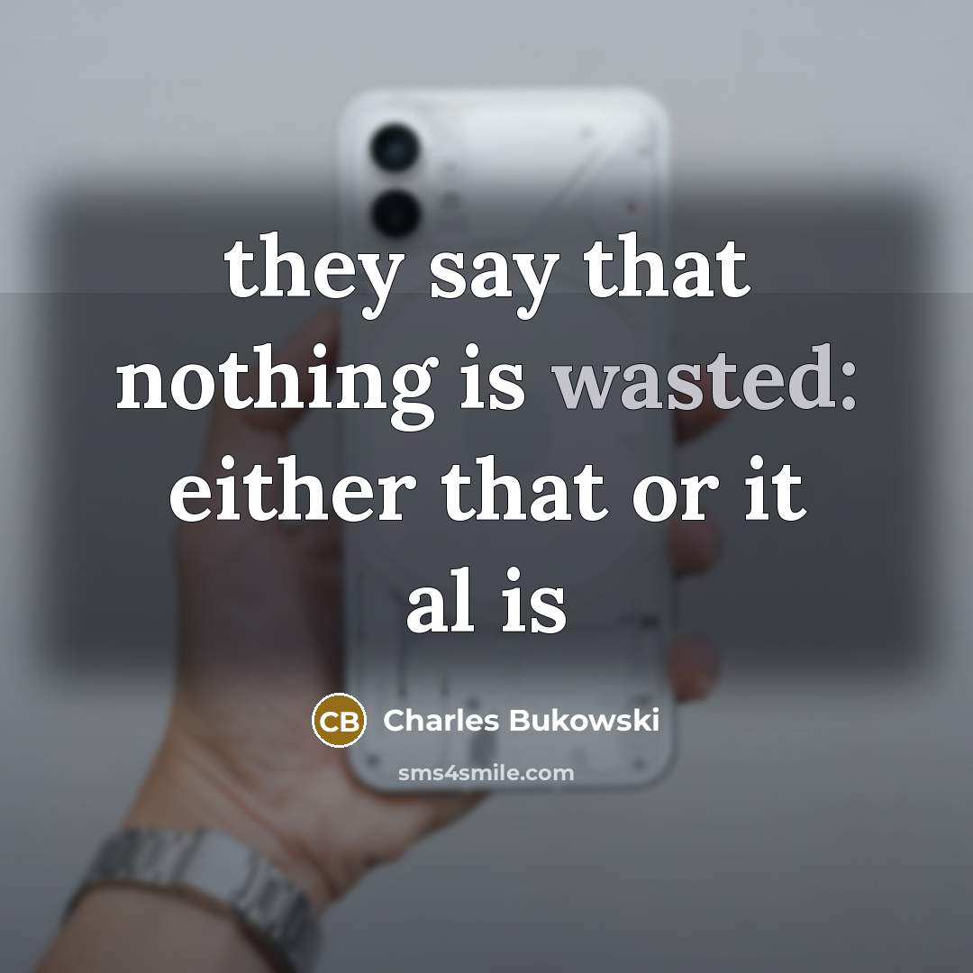 “they say that nothing is wasted: either that or it al is” quote by Charles Bukowski