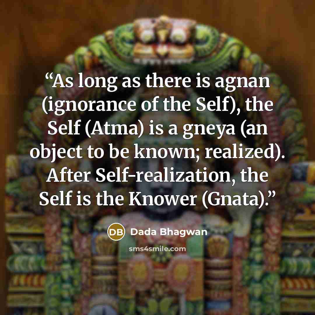 “As long as there is agnan (ignorance of the Self), the Self (Atma) is a gneya (an object to be known; realized). After Self-realization, the Self is the Knower (Gnata).” quote by Dada Bhagwan