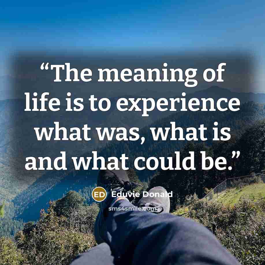 “The meaning of life is to experience what was, what is and what could be.” quote by Eduvie Donald