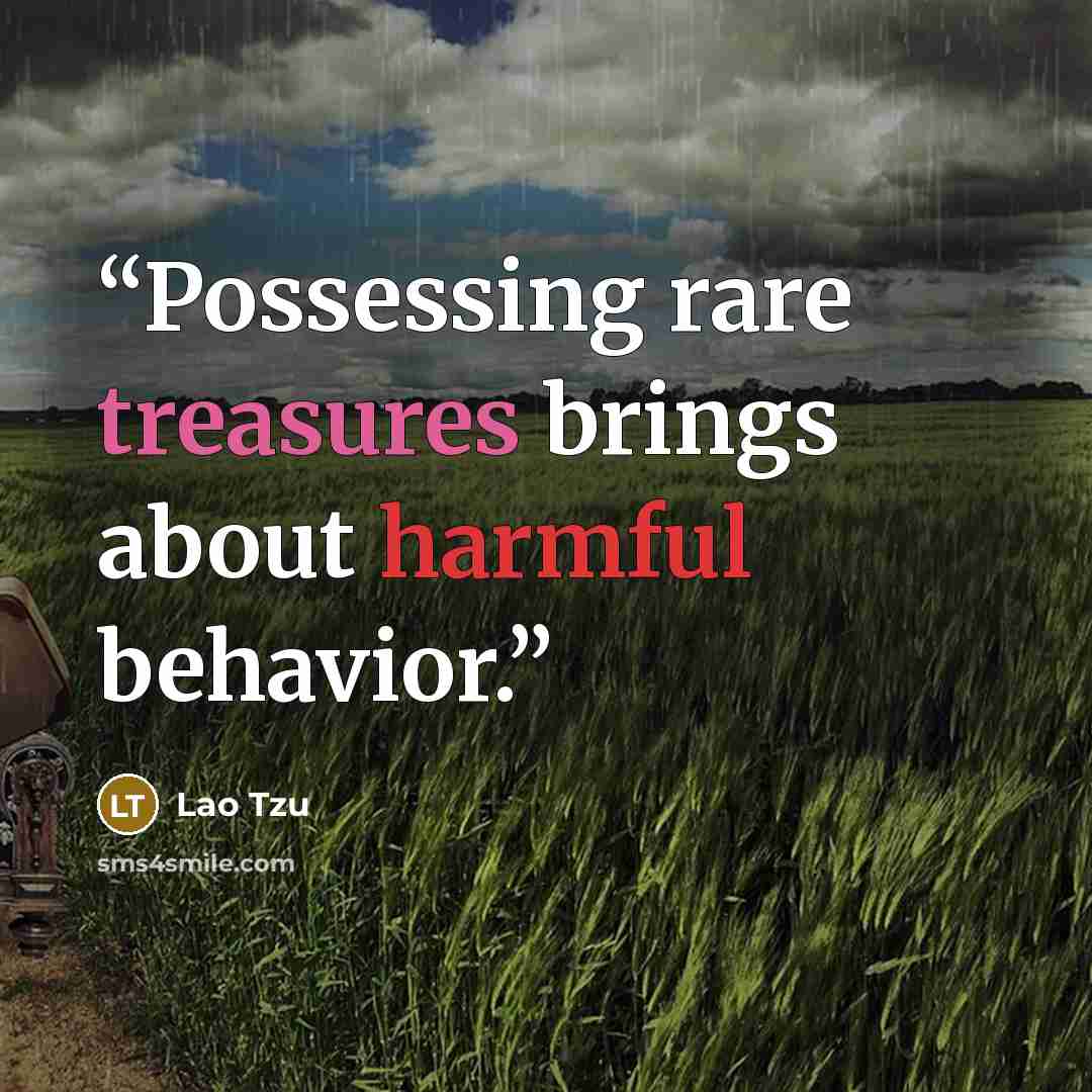 “Possessing rare treasures brings about harmful behavior.” quote by Lao Tzu