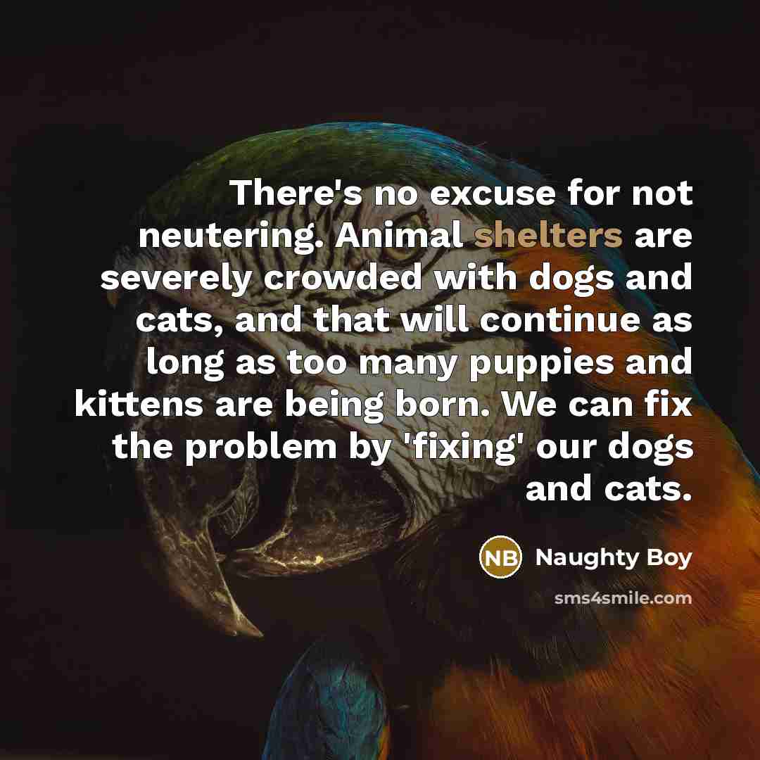 “There's no excuse for not neutering. Animal shelters are severely crowded with dogs and cats, and that will continue as long as too many puppies and kittens are being born. We can fix the problem by 'fixing' our dogs and cats.” quote by Naughty Boy