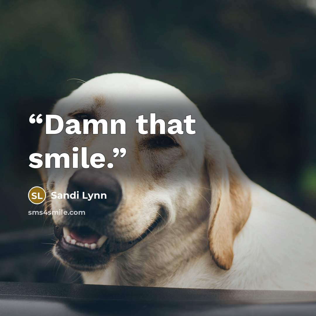 “Damn that smile.” quote by Sandi Lynn
