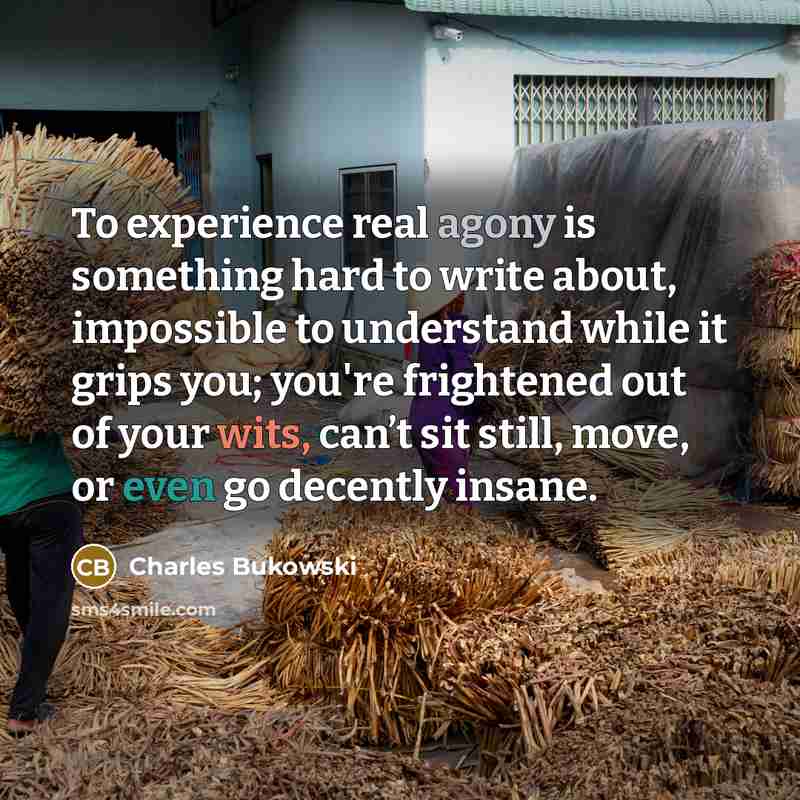 “To experience real agony is something hard to write about, impossible to understand while it grips you; you're frightened out of your wits, can’t sit still, move, or even go decently insane.” quote by Charles Bukowski