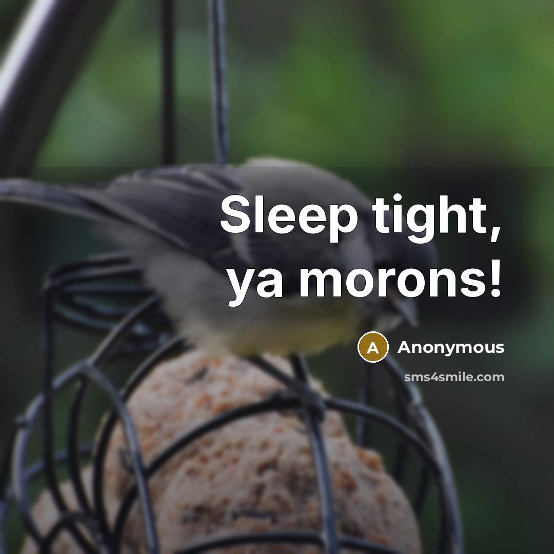 “Sleep tight, ya morons!” quote by Anonymous