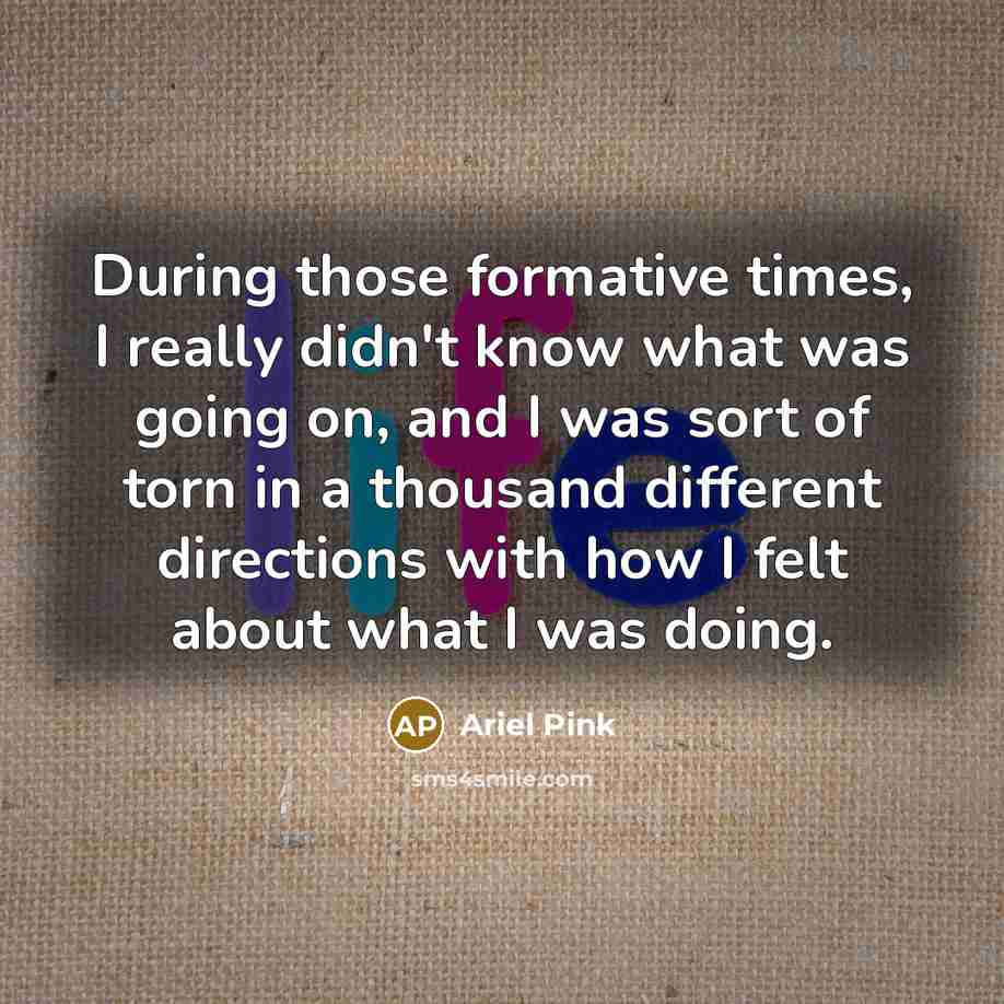“During those formative times, I really didn't know what was going on, and I was sort of torn in a thousand different directions with how I felt about what I was doing.” quote by Ariel Pink