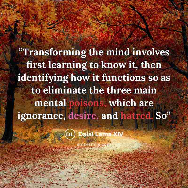 “Transforming the mind involves first learning to know it, then identifying how it functions so as to eliminate the three main mental poisons, which are ignorance, desire, and hatred. So” quote by Dalai Lama XIV