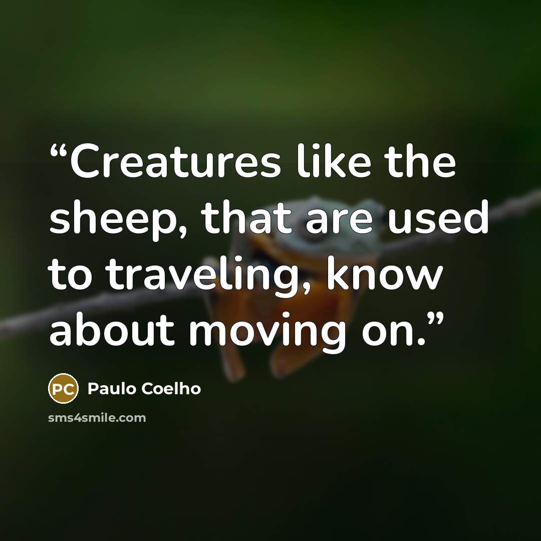 “Creatures like the sheep, that are used to traveling, know about moving on.” quote by Paulo Coelho
