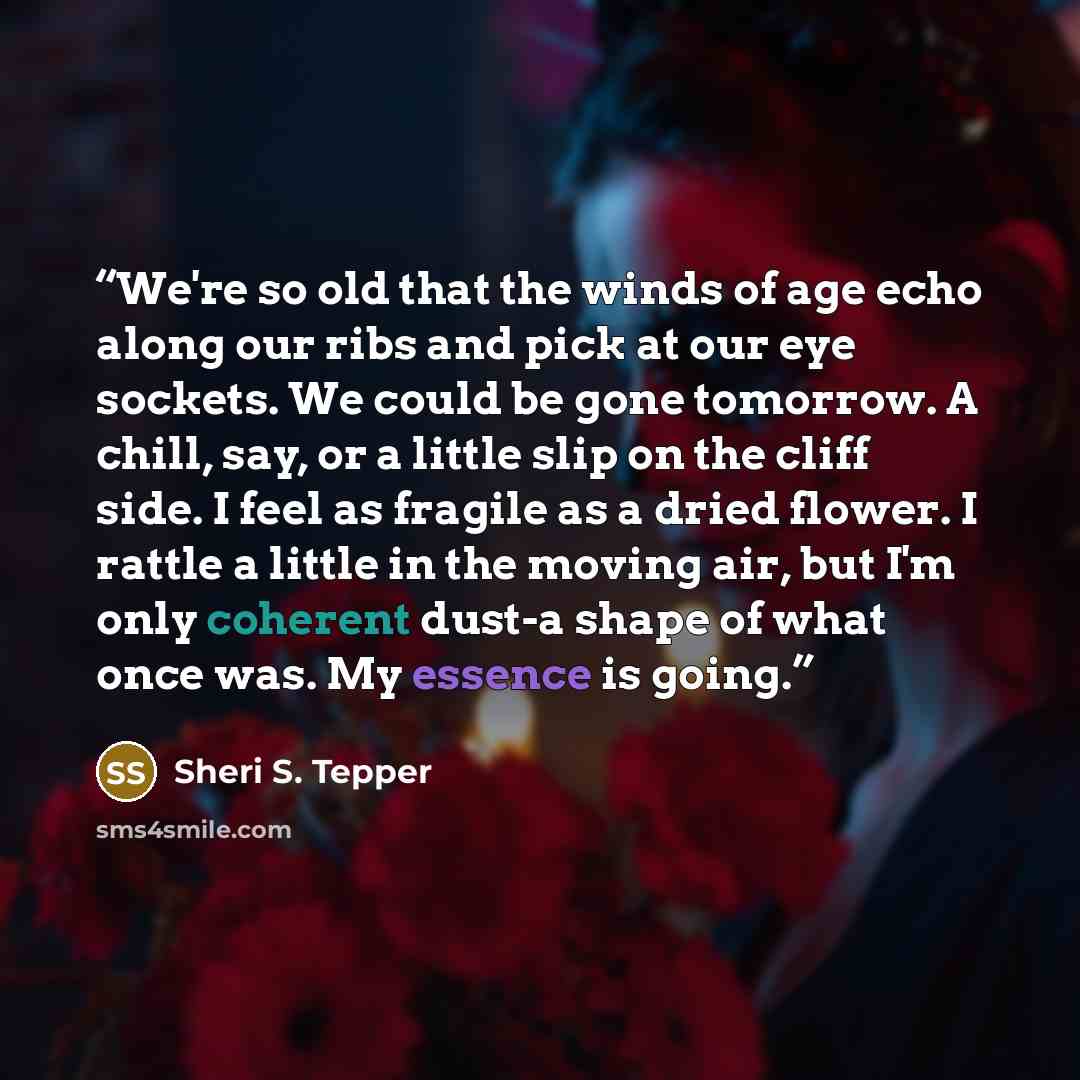 “We're so old that the winds of age echo along our ribs and pick at our eye sockets. We could be gone tomorrow. A chill, say, or a little slip on the cliff side. I feel as fragile as a dried flower. I rattle a little in the moving air, but I'm only coherent dust-a shape of what once was. My essence…” quote by Sheri S. Tepper