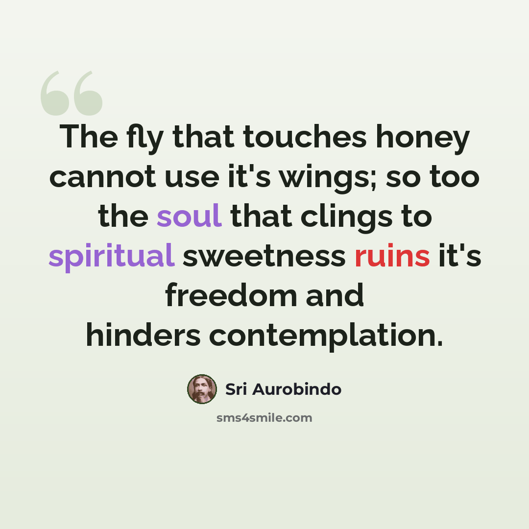 “The fly that touches honey cannot use it's wings; so too the soul that clings to spiritual sweetness ruins it's freedom and hinders contemplation.” quote by Sri Aurobindo