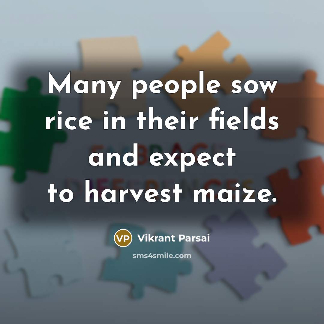 “Many people sow rice in their fields and expect to harvest maize.” quote by Vikrant Parsai