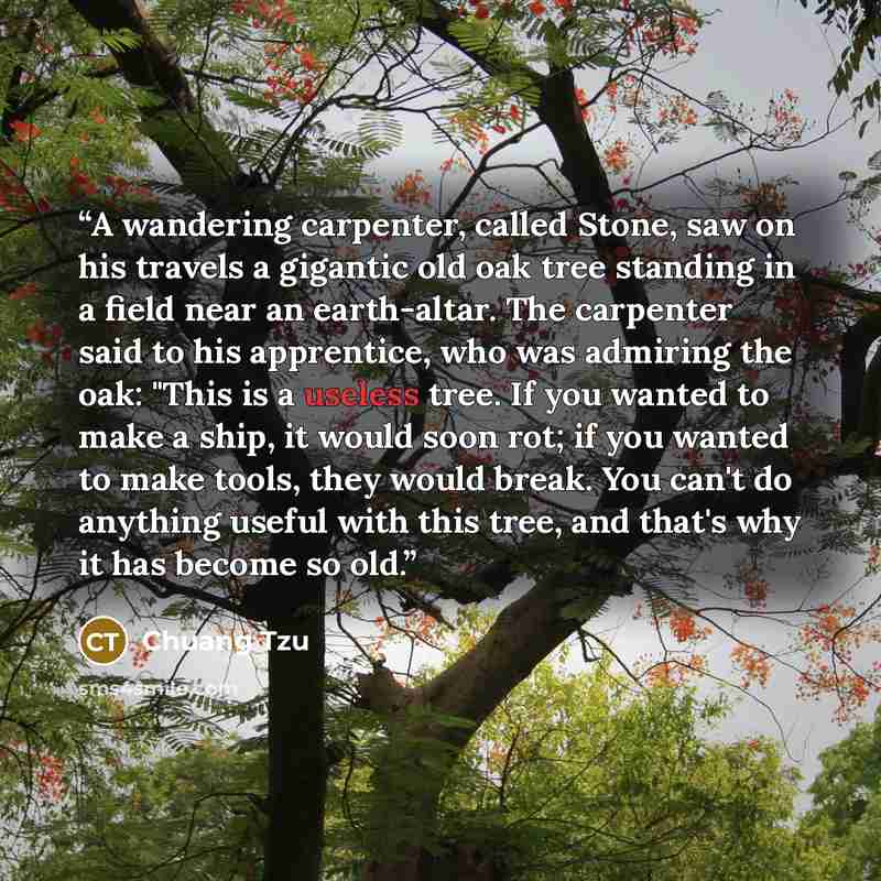 “A wandering carpenter, called Stone, saw on his travels a gigantic old oak tree standing in a field near an earth-altar. The carpenter said to his apprentice, who was admiring the oak: "This is a useless tree. If you wanted to make a ship, it would soon rot; if you wanted to make tools, they would…” quote by Chuang Tzu