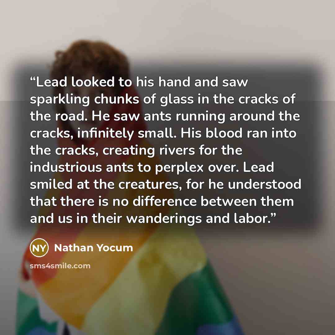 “Lead looked to his hand and saw sparkling chunks of glass in the cracks of the road. He saw ants running around the cracks, infinitely small. His blood ran into the cracks, creating rivers for the industrious ants to perplex over. Lead smiled at the creatures, for he understood that there is no…” quote by Nathan Yocum