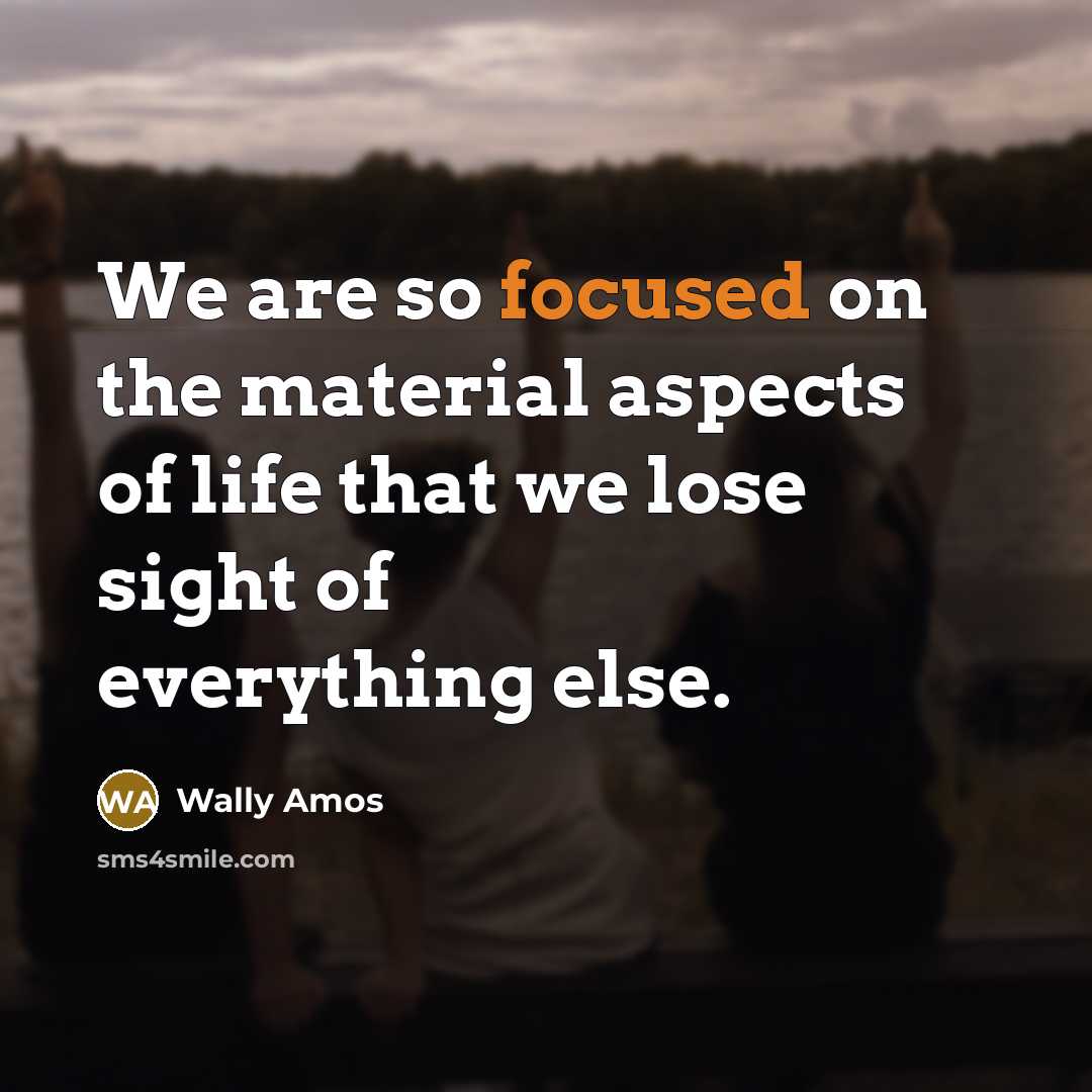 “We are so focused on the material aspects of life that we lose sight of everything else.” quote by Wally Amos
