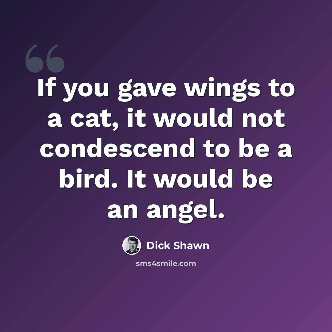 “If you gave wings to a cat, it would not condescend to be a bird. It would be an angel.” quote by Dick Shawn