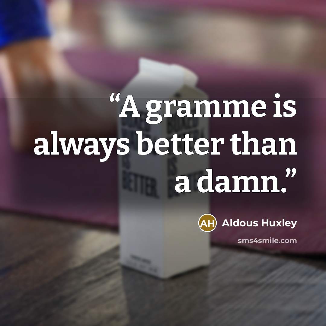 “A gramme is always better than a damn.” quote by Aldous Huxley