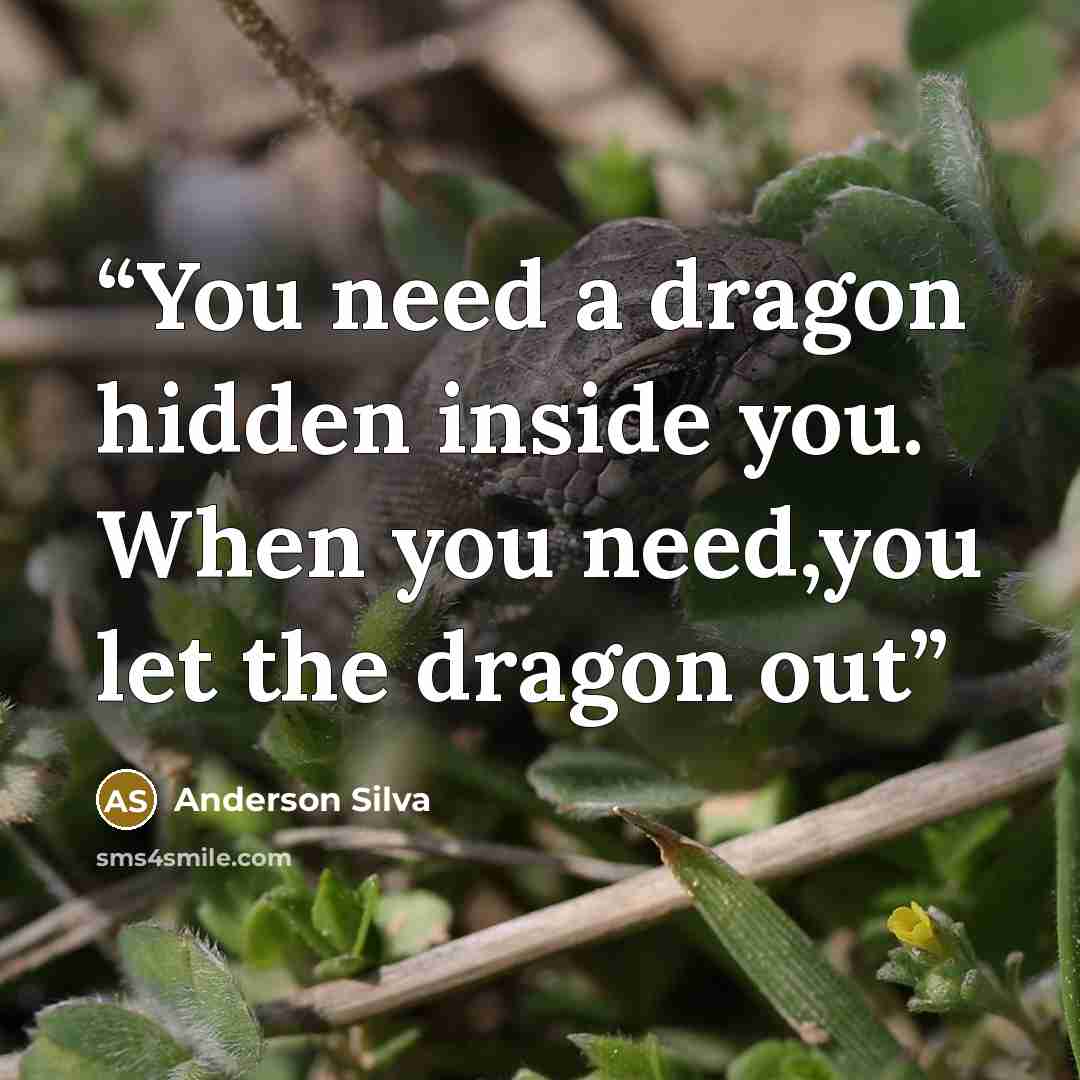 “You need a dragon hidden inside you. When you need,you let the dragon out” quote by Anderson Silva