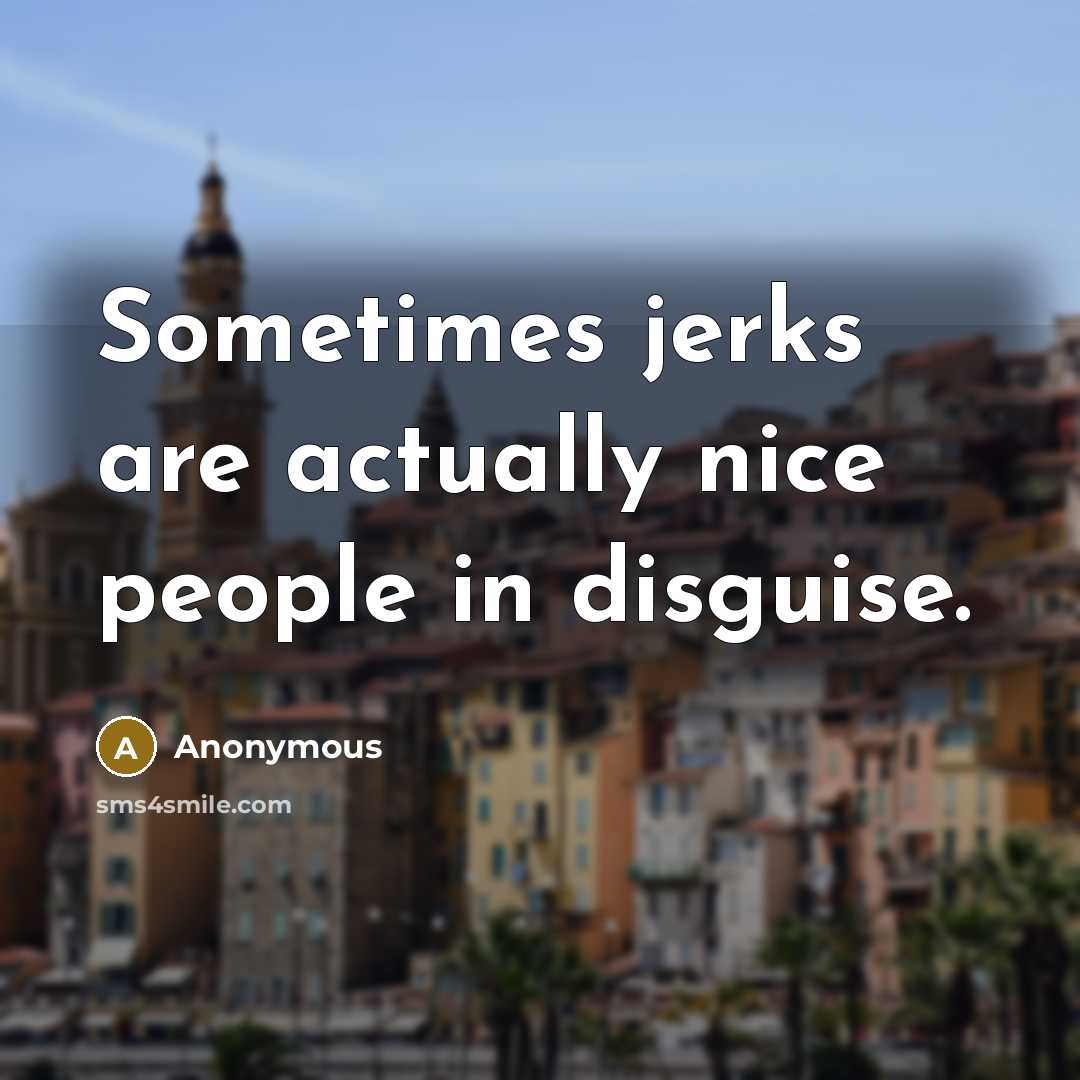 “Sometimes jerks are actually nice people in disguise.” quote by Anonymous