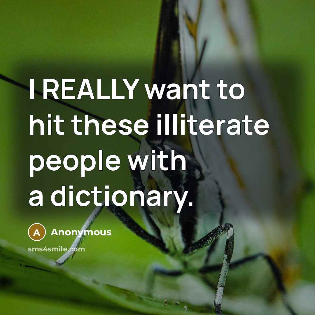 “I REALLY want to hit these illiterate people with a dictionary.” quote by Anonymous