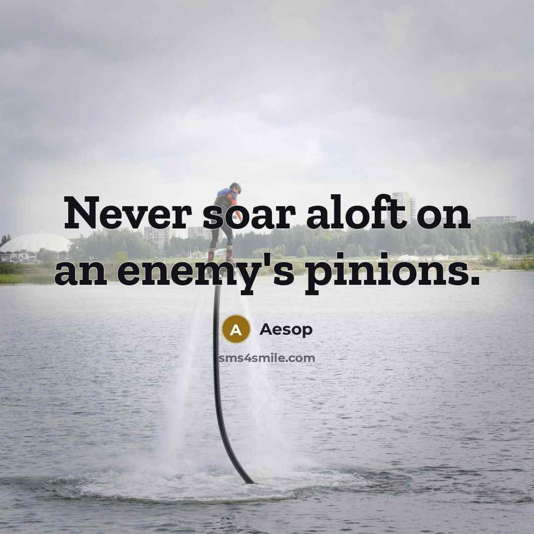 “Never soar aloft on an enemy's pinions.” quote by Aesop