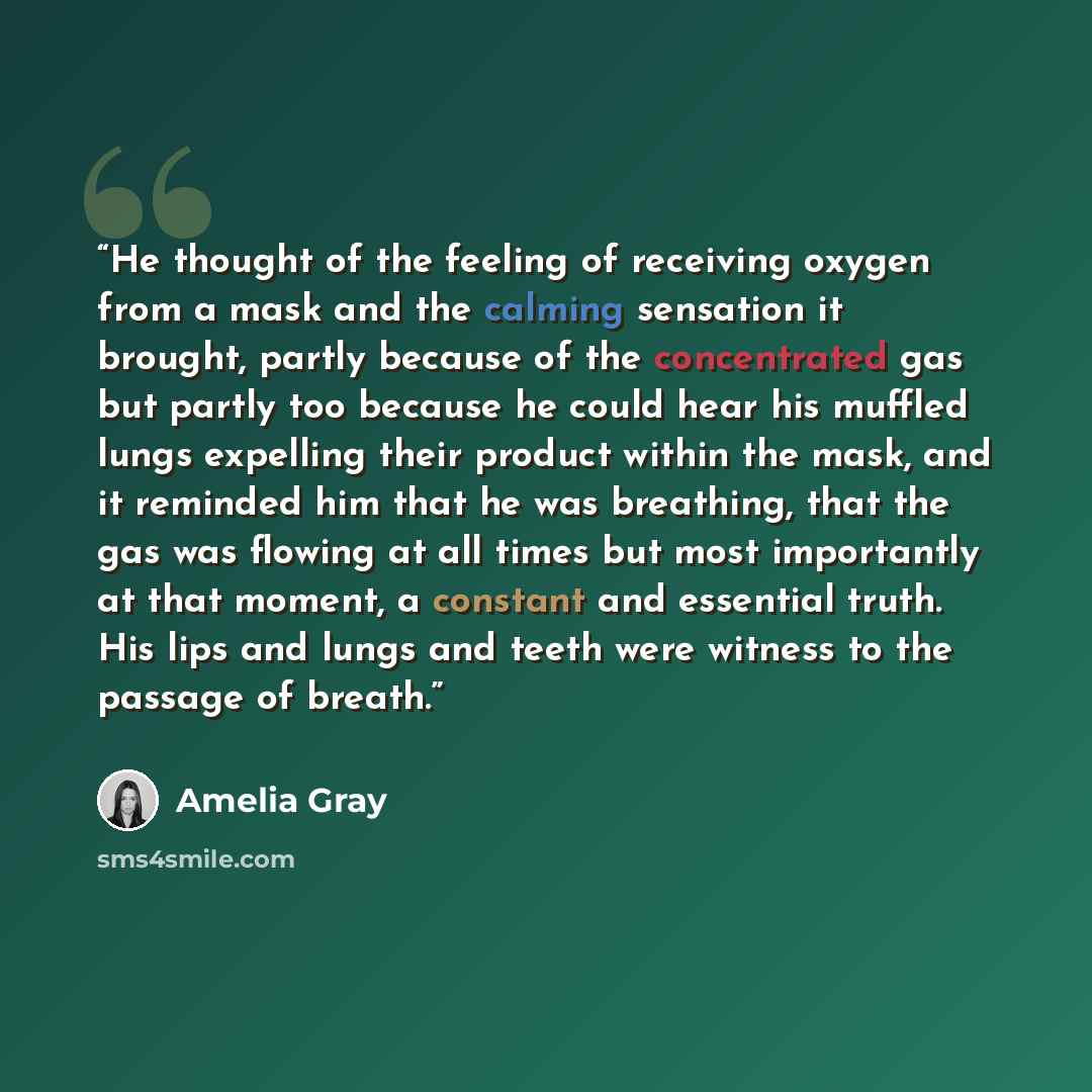 “He thought of the feeling of receiving oxygen from a mask and the calming sensation it brought, partly because of the concentrated gas but partly too because he could hear his muffled lungs expelling their product within the mask, and it reminded him that he was breathing, that the gas was flowing…” quote by Amelia Gray