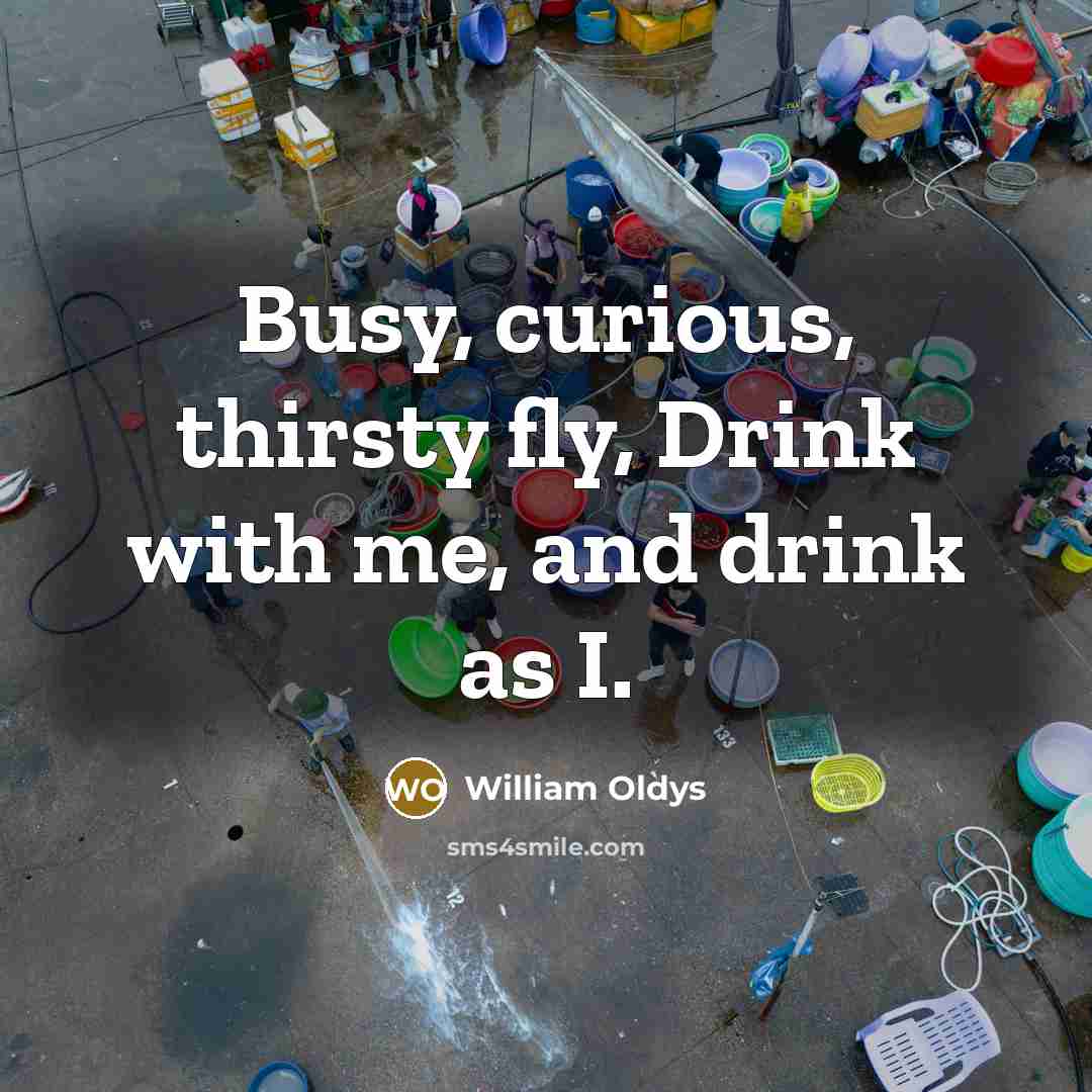 “Busy, curious, thirsty fly, Drink with me, and drink as I.” quote by William Oldys